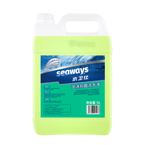 Foam anti-bacteria hand sanitizer